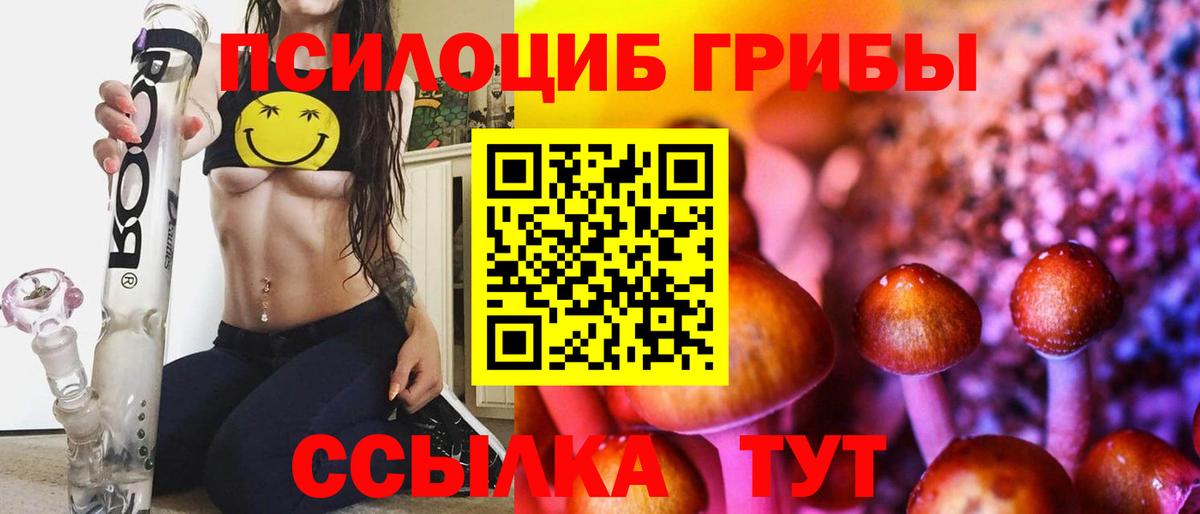 Артём  Псилоцибиновые грибы MAGIC MUSHROOMS  Вход с VPN 