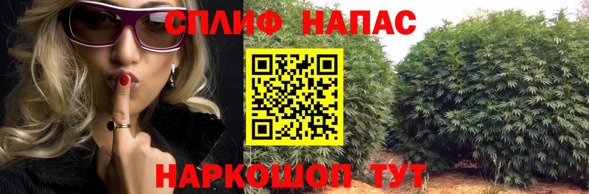 Конопля White Widow Артём